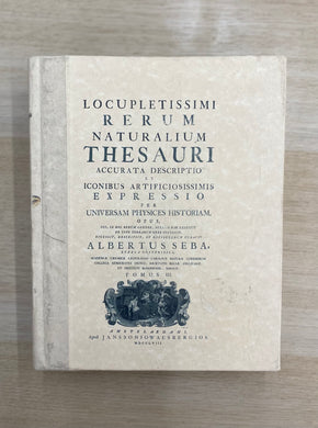 Thesauri Decorative Book
