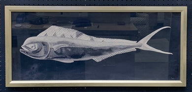 Blue Mackerel Framed Fish Art