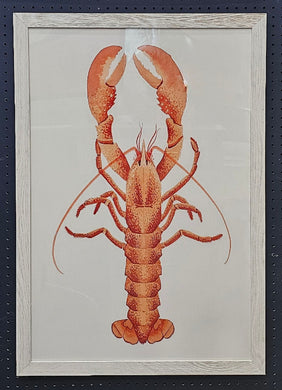 Red Lobster Framed Art