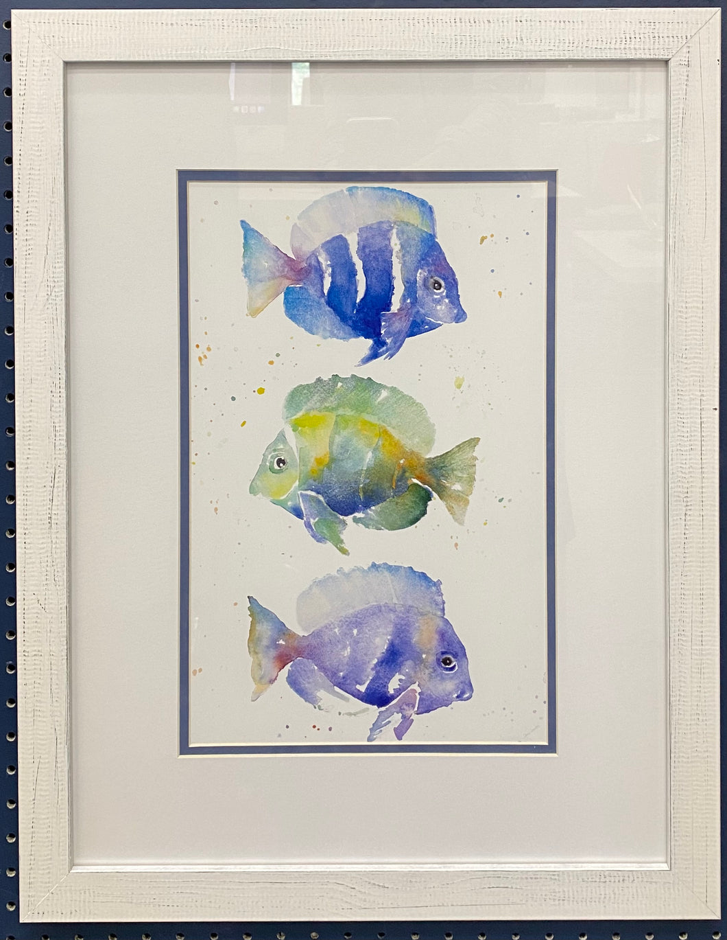 Multi Colored Tropical Fish II